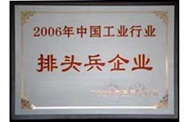 2006年中国工业行业排头兵企业